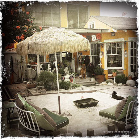 July 6, 2013 Beachside Curiosities