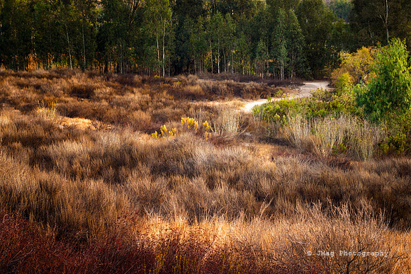 Early Morning at Otay Lakes