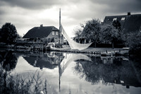 365 Project