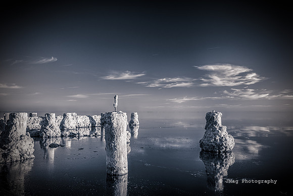 Salton Sea