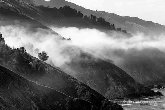 PCH20131553