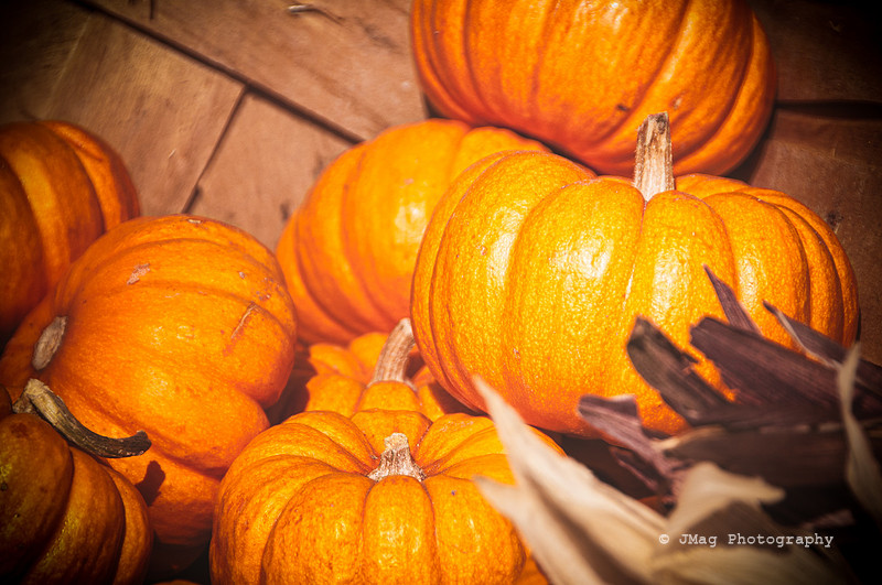 September 30, 2013 - Pumpkins