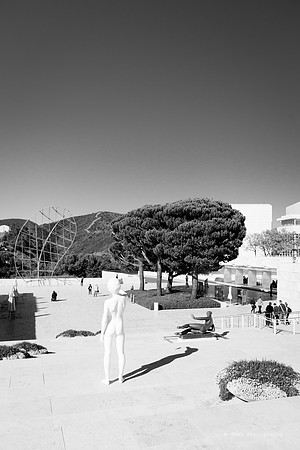 _JMG6216