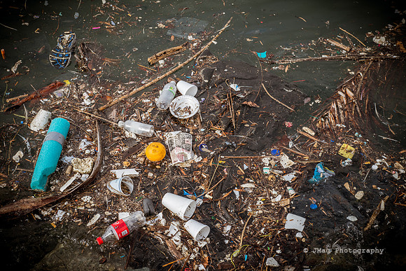 November 8, 2013 Trash