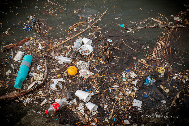 November 8, 2013 Trash