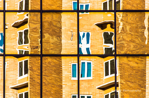 Janaury 21, 2013 Reflection