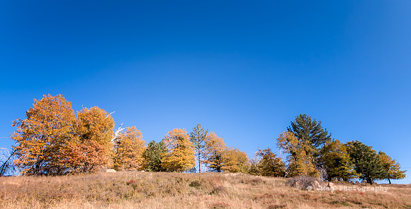 _JMG0227-Edit
