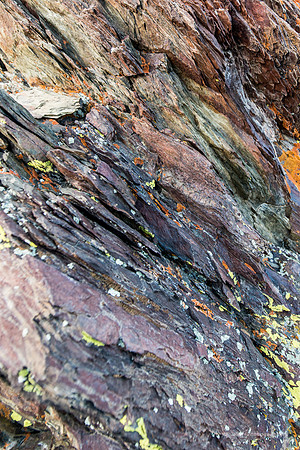 White Mountains-Bristlecones139