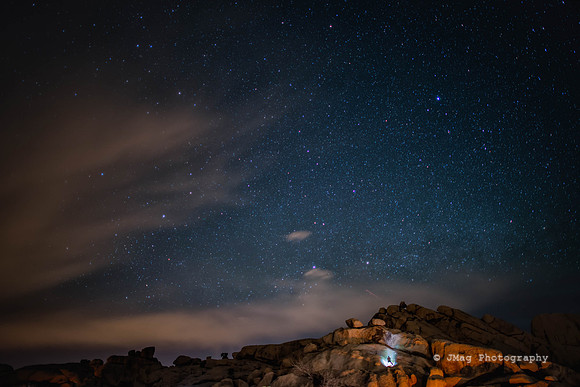 Joshua Tree