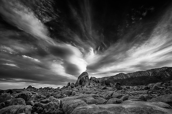 The Vortex