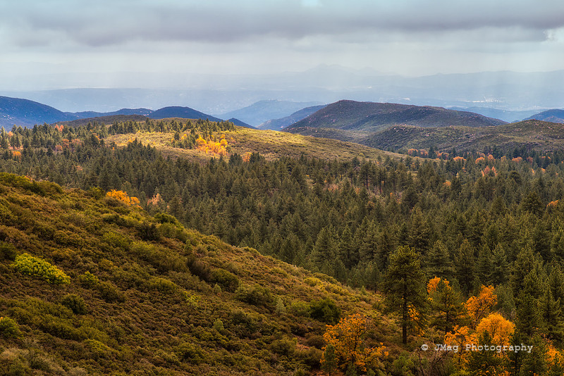 _JMG0063-Edit