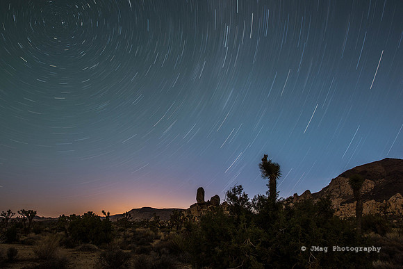 Joshua Tree