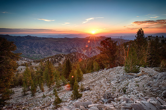 Sunrise at Patriarch Grove