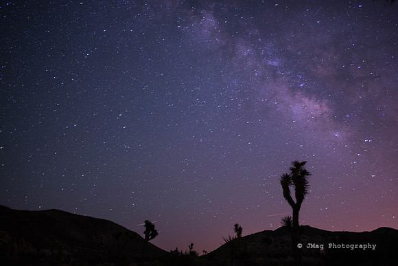 Joshua Tree