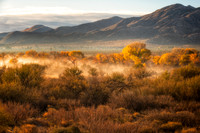 sunrise in Anza Borego
