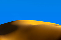 The Dune