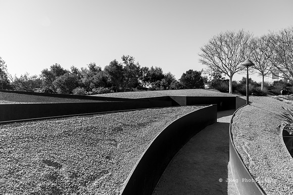 _JMG6198