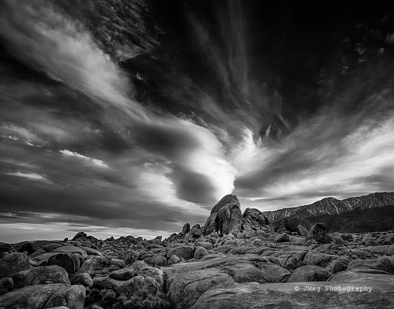 The Vortex
