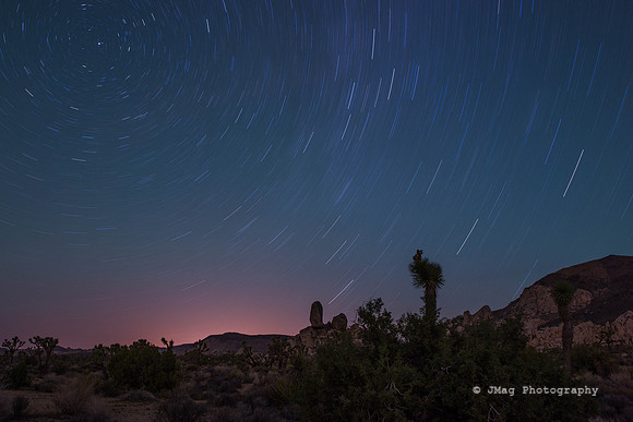 Joshua Tree