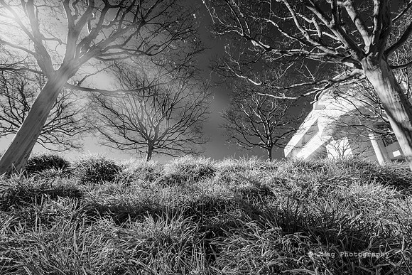 _JMG6194-Edit