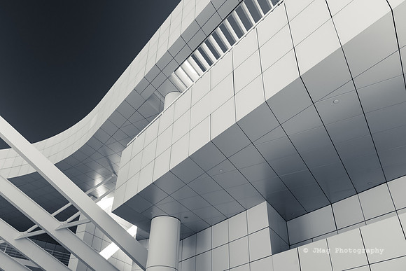 _JMG6228