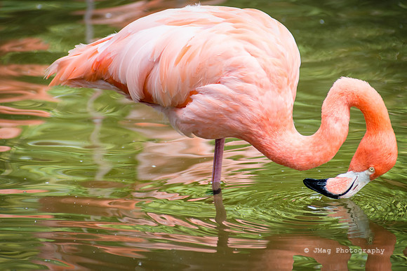 _JMG0847-Edit
