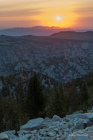 White Mountains-Bristlecones389