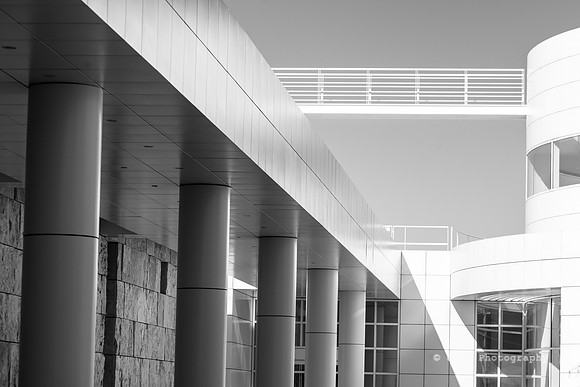 _JMG6141