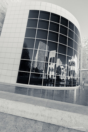 _JMG6156