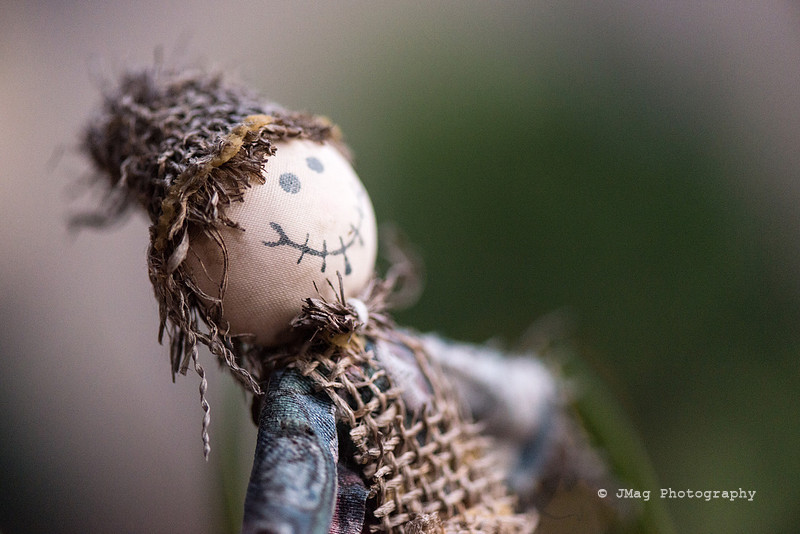 November 7, 2013 - Little scare crow_