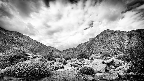 The Desert_