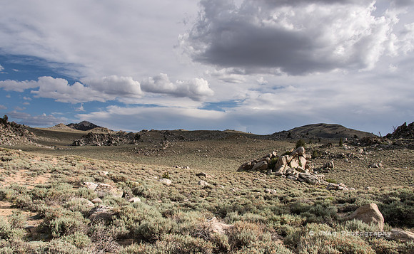 White Mountains-Bristlecones58-Edit
