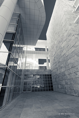 _JMG6021