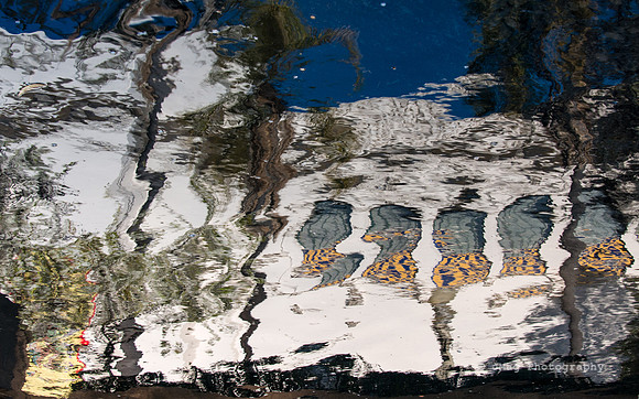 February 13, 2013 - Reflection