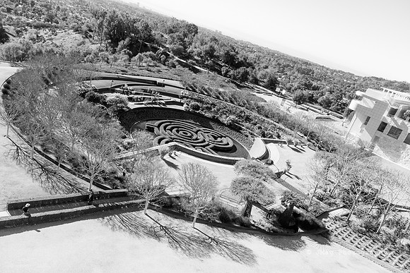 _JMG6127