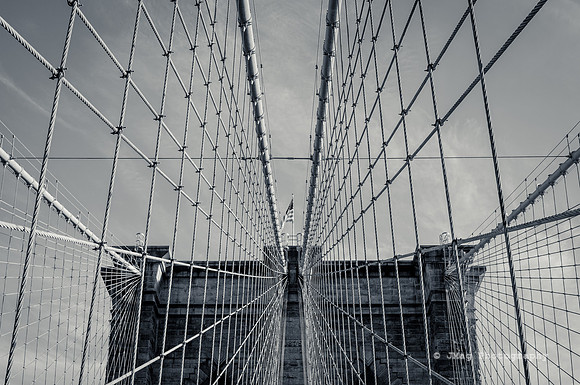 _JMG8873