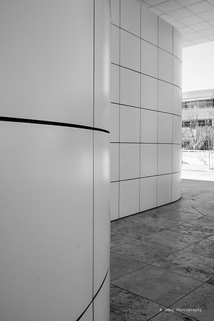 _JMG5991