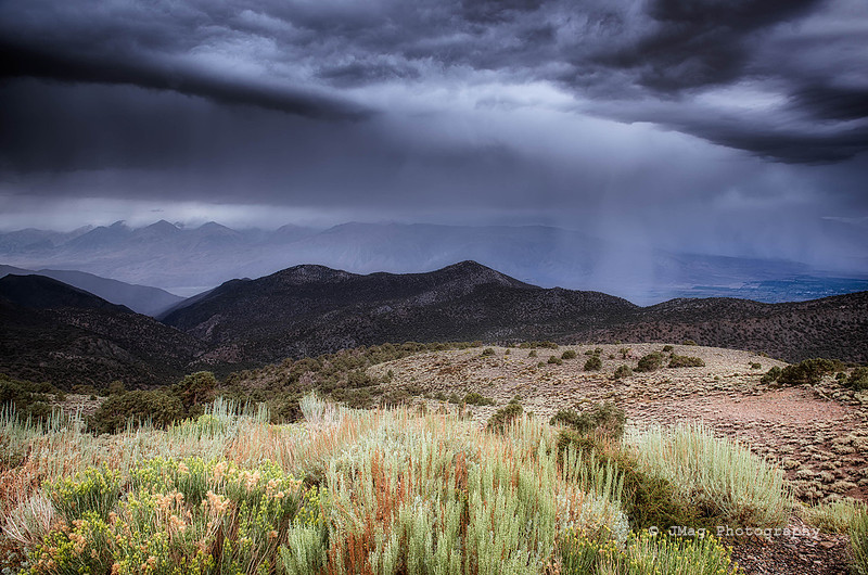 _JMG5809-Edit