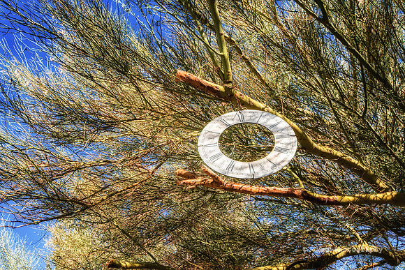 _JMG7316-Edit