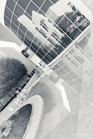 _JMG6286
