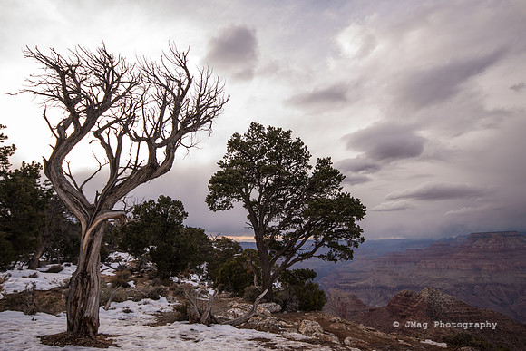 Grand Canyon--2-2