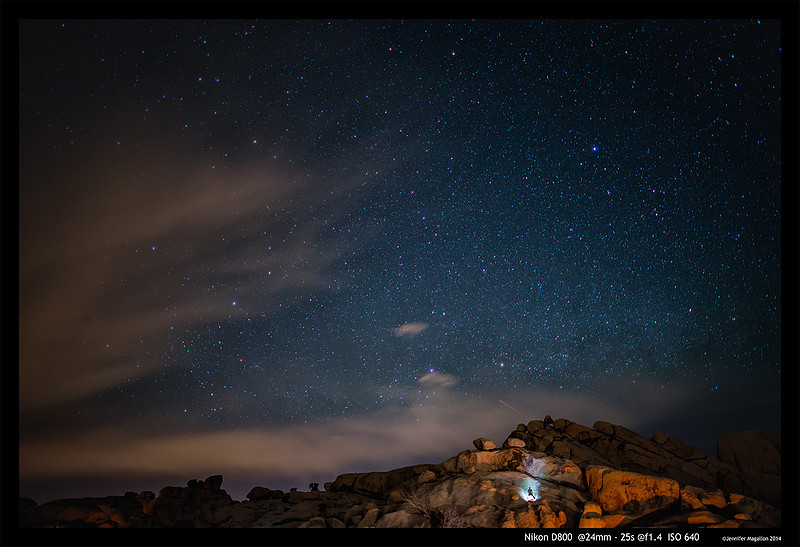 Joshua Tree