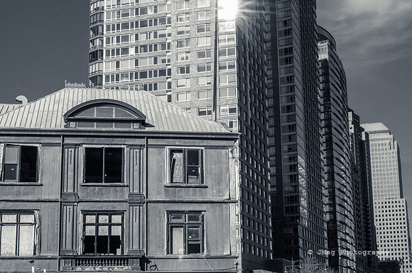 _JMG8681