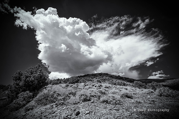 The Cloud