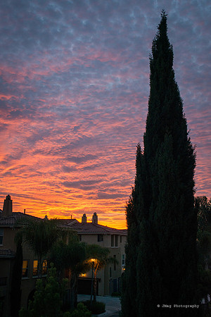 December 2, 2013 - Sunset in eastlake