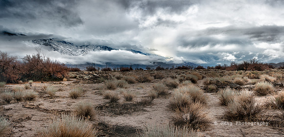 Untitled_Panorama1 (1)