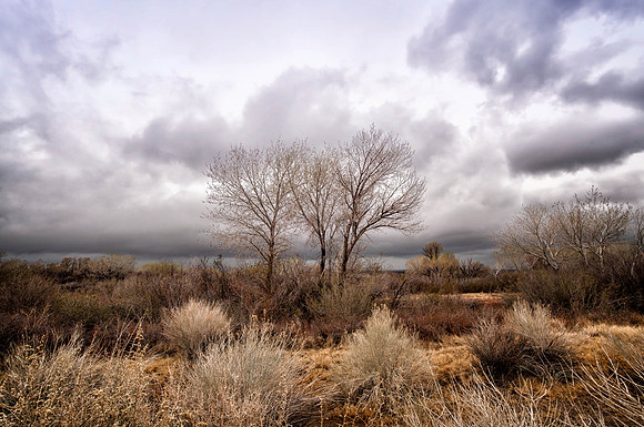 Manzanar, California