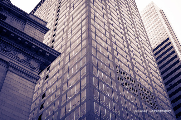 _JMG7798