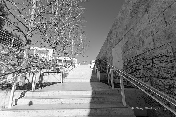 _JMG6077
