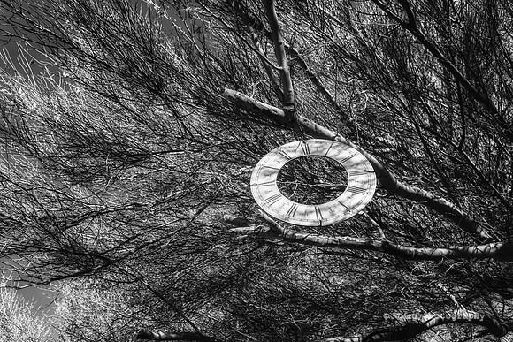 _JMG7316-Edit-Edit